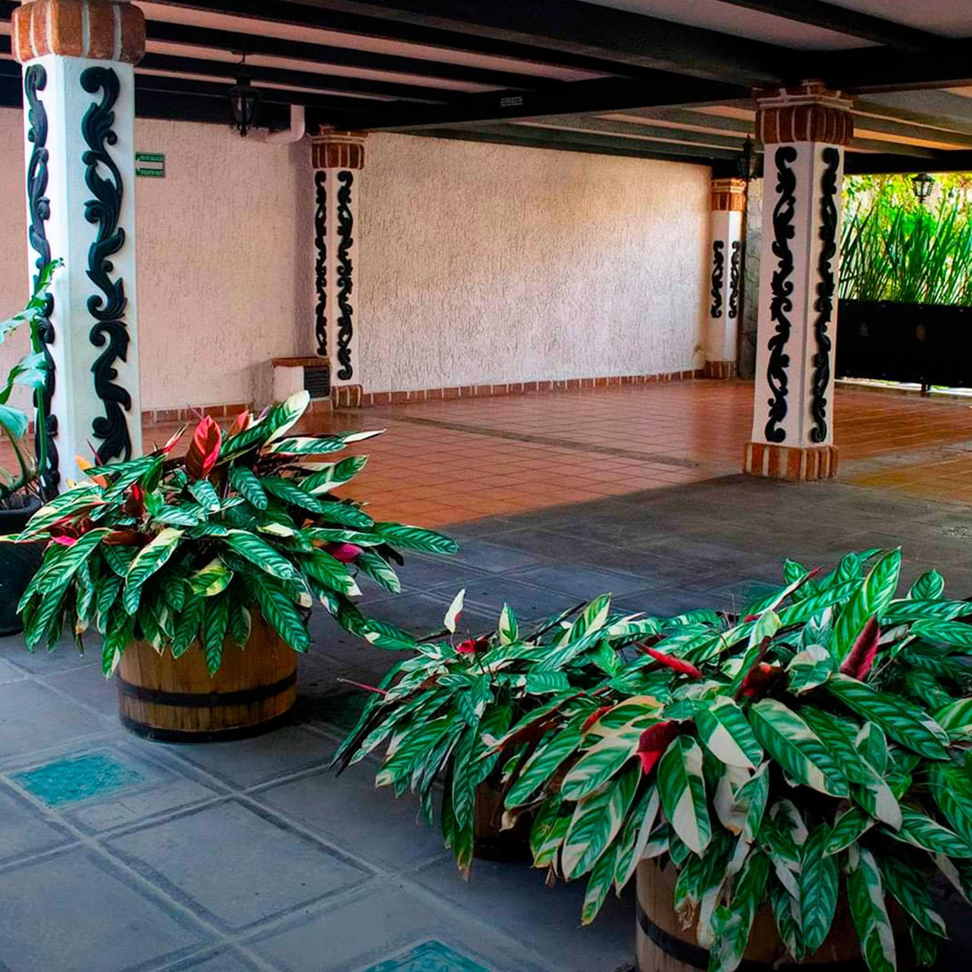 Hotel Boutique La Mansion Γκουανταλαχάρα Εξωτερικό φωτογραφία